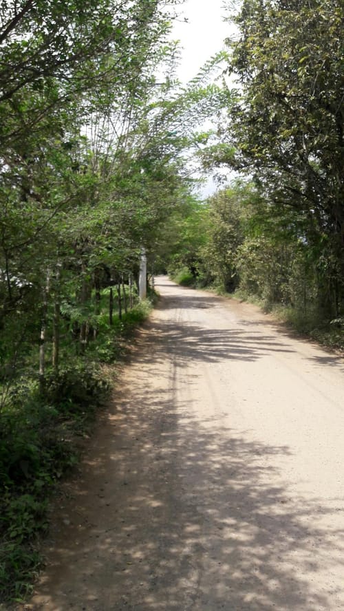 Lote en venta en Cañasgordas, Cali, 10000 m² · foto 15 de 16