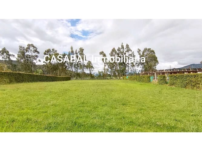 Lote en venta en La Violeta, Sopó, 2000 m² · foto 6 de 13