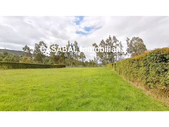 Lote en venta en La Violeta, Sopó, 2000 m² · foto 7 de 13