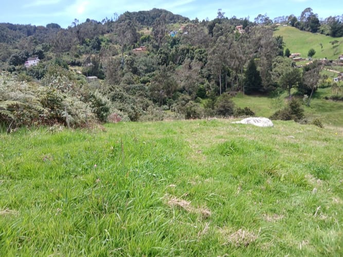 Lote en venta en El Libano, La Calera, 20 m² · foto 5 de 10