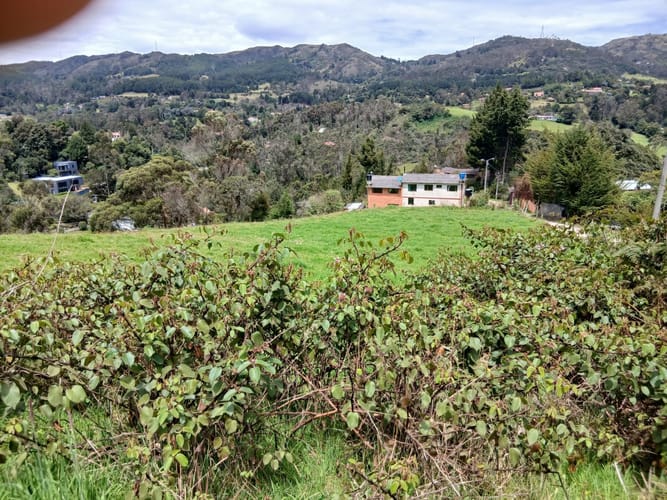 Lote en venta en El Libano, La Calera, 20 m² · foto 6 de 10