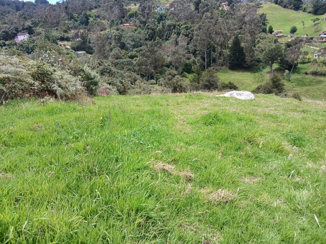 Lote en venta en El Libano, La Calera, 20 m² · foto 7 de 10