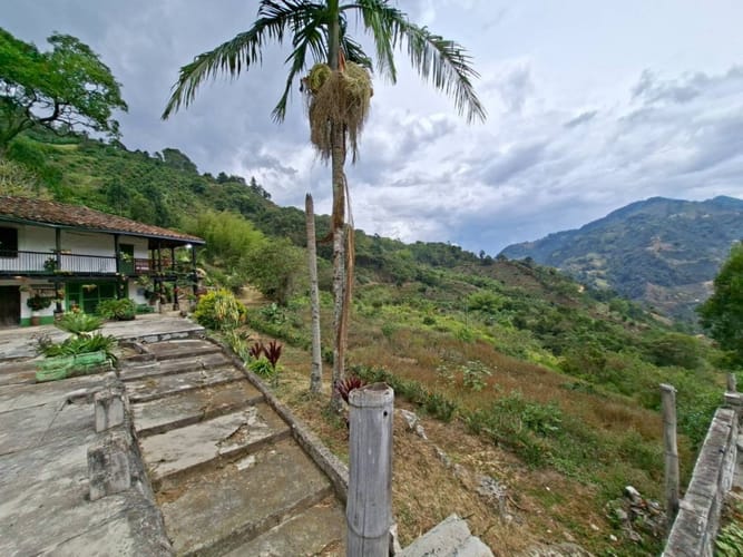Finca en venta en La Miel, La Ceja, 250 m² · foto 5 de 24