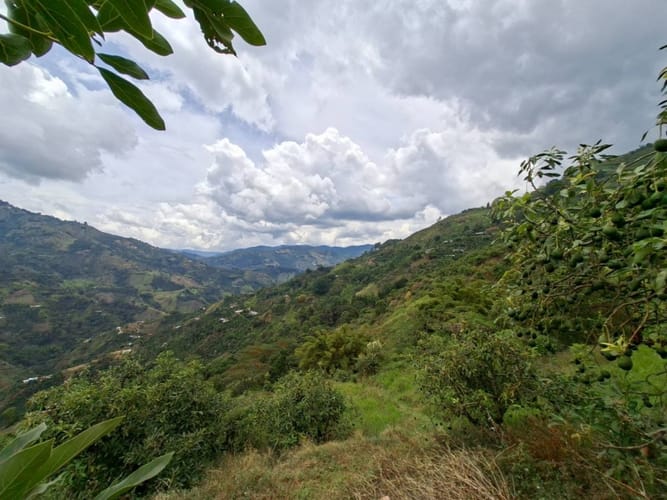 Finca en venta en La Miel, La Ceja, 250 m² · foto 13 de 24