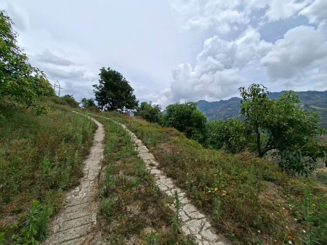 Finca en venta en La Miel, La Ceja, 250 m² · foto 14 de 24