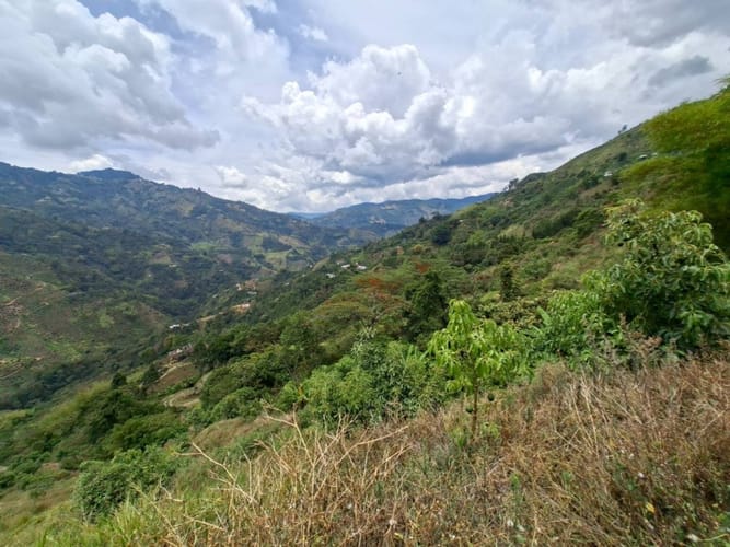 Finca en venta en La Miel, La Ceja, 250 m² · foto 16 de 24