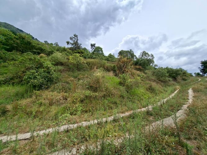 Finca en venta en La Miel, La Ceja, 250 m² · foto 17 de 24