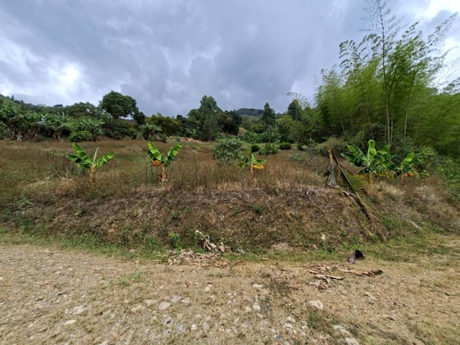 Finca en venta en La Miel, La Ceja, 250 m² · foto 18 de 24