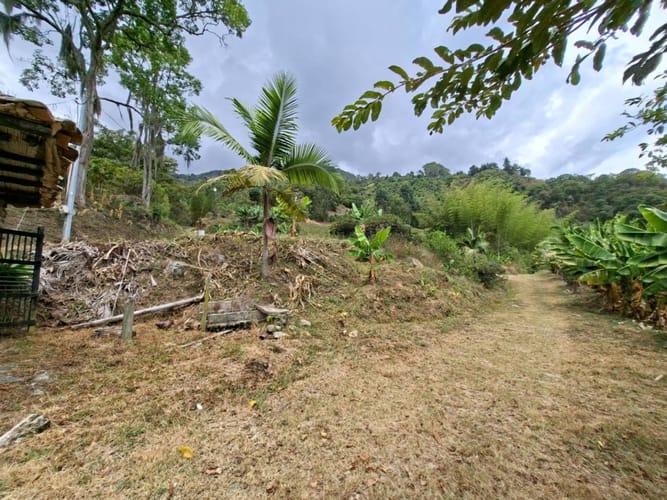 Finca en venta en La Miel, La Ceja, 250 m² · foto 19 de 24
