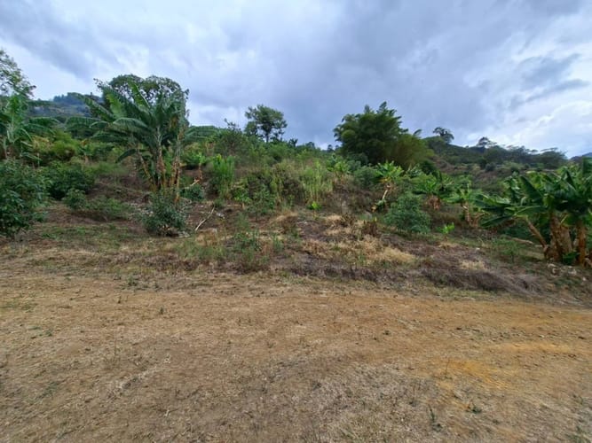 Finca en venta en La Miel, La Ceja, 250 m² · foto 20 de 24
