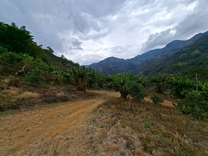 Finca en venta en La Miel, La Ceja, 250 m² · foto 21 de 24