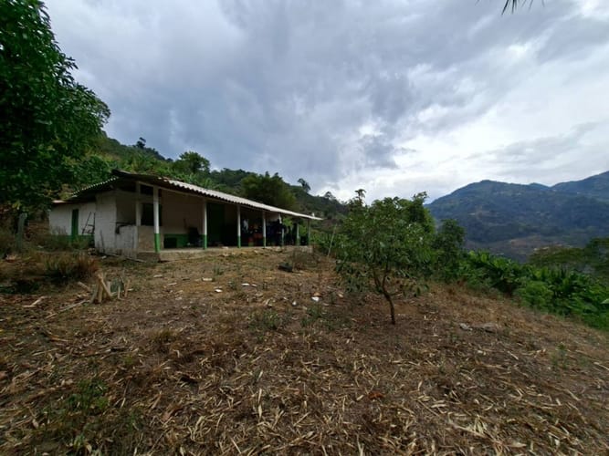 Finca en venta en La Miel, La Ceja, 250 m² · foto 23 de 24