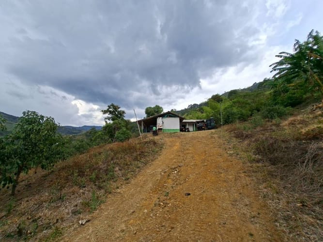 Finca en venta en La Miel, La Ceja, 250 m² · foto 24 de 24