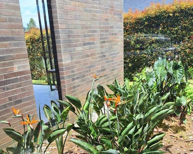 Casa de 3 alcobas en venta en Pantanillo, Envigado, 280 m² · foto 9 de 16