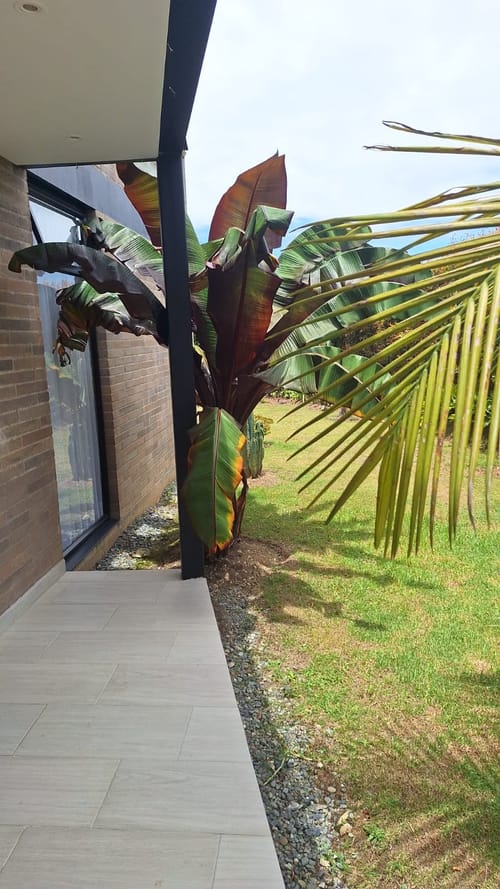 Casa de 3 alcobas en venta en Pantanillo, Envigado, 280 m² · foto 6 de 16