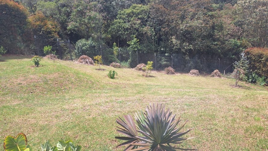 Casa de 3 alcobas en venta en Pantanillo, Envigado, 280 m² · foto 14 de 16