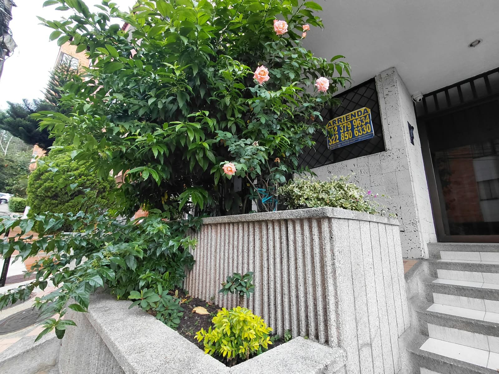 Apartaestudio en Arriendo en La floresta, Bucaramanga en Terrazas