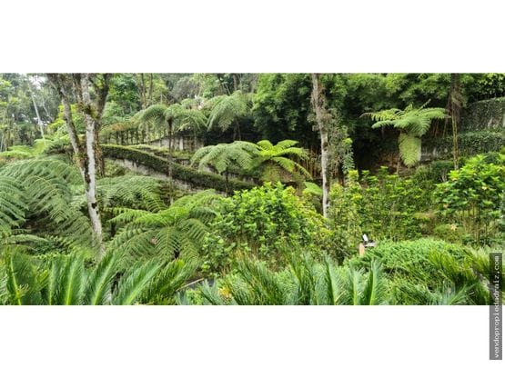 Finca en venta en El Porvenir, Rionegro, 470 m² · foto 9 de 24