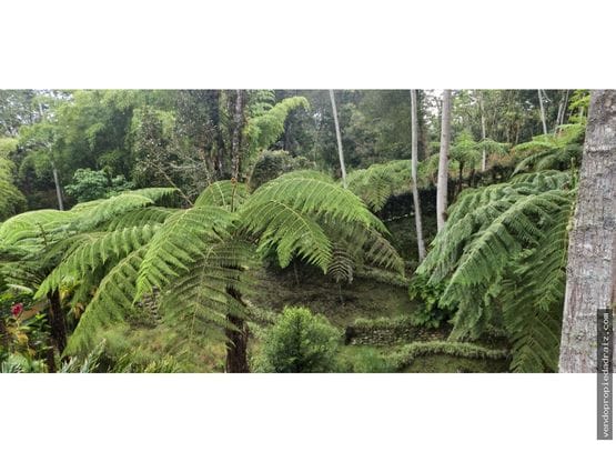 Finca en venta en El Porvenir, Rionegro, 470 m² · foto 22 de 24