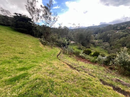 Lote en venta en El Libano, La Calera, 7528 m² · foto 3 de 12