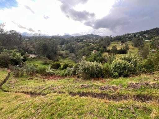 Lote en venta en El Libano, La Calera, 7528 m² · foto 4 de 12