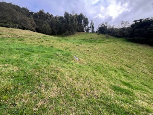 Lote en venta en El Libano, La Calera, 7528 m² · foto 5 de 12