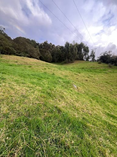 Lote en venta en El Libano, La Calera, 7528 m² · foto 6 de 12