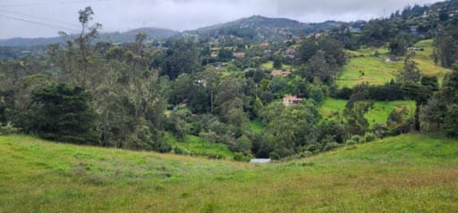Lote en venta en El Libano, La Calera, 7528 m² · foto 8 de 12