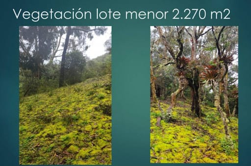Lote en venta en El Libano, La Calera, 7528 m² · foto 9 de 12