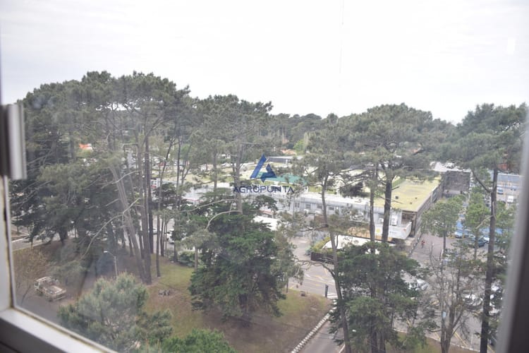 Foto 5 de 30
