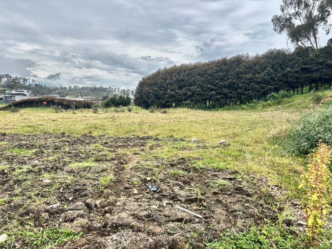 Lote en venta en Las Palmas, Envigado, 2100 m² · foto 11 de 12