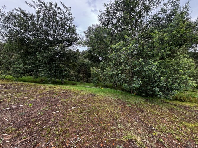 Lote en venta en Las Palmas, Envigado, 2100 m² · foto 7 de 12
