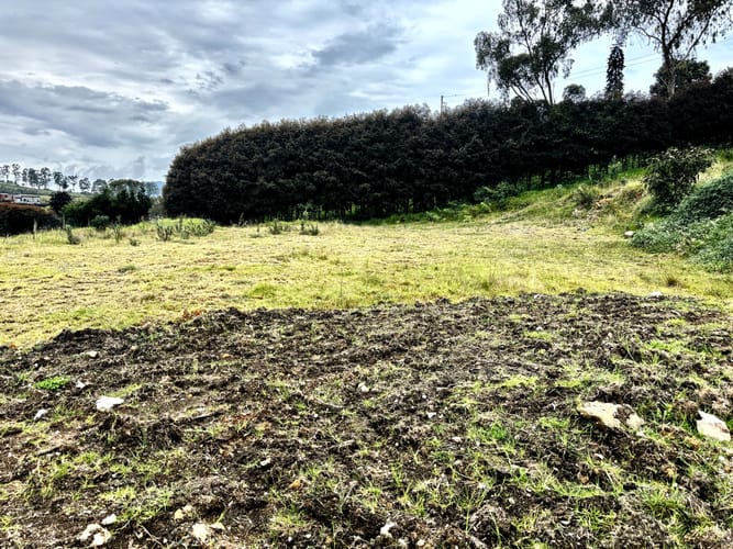 Lote en venta en Las Palmas, Envigado, 2100 m² · foto 9 de 12