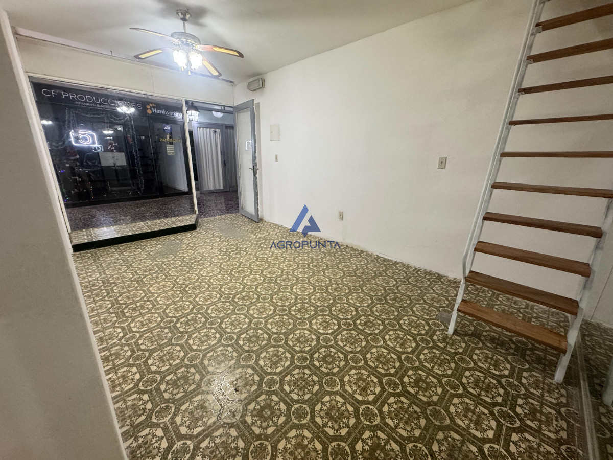 ALQUILER LOCAL COMERCIAL PUNTA DEL ESTE · Foto 3