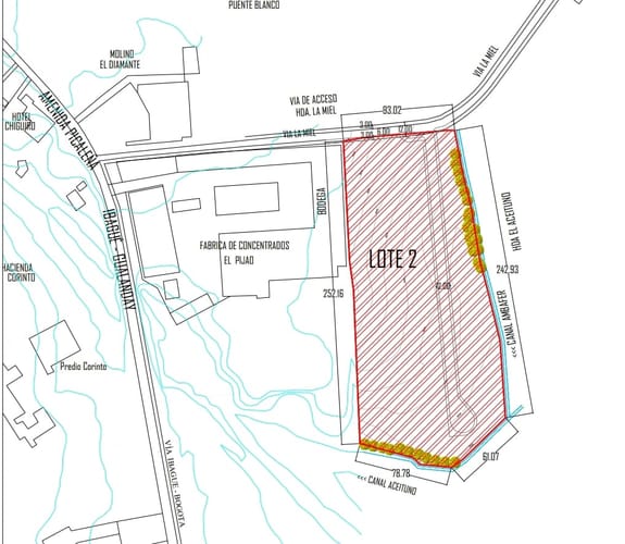 Lote en venta en Buenos Aires, Ibagué, 30000 m² · foto 3 de 4