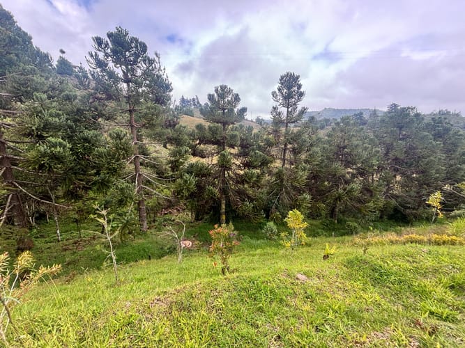 Lote en venta en Lejos Del Nido, El Retiro, 1872 m² · foto 8 de 15