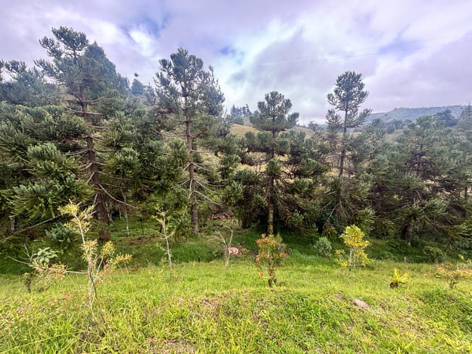 Lote en venta en Lejos Del Nido, El Retiro, 1872 m² · foto 13 de 15