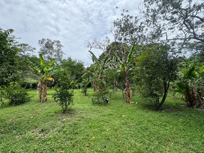 Lote en venta en Guatiguara, Piedecuesta · foto 3 de 11