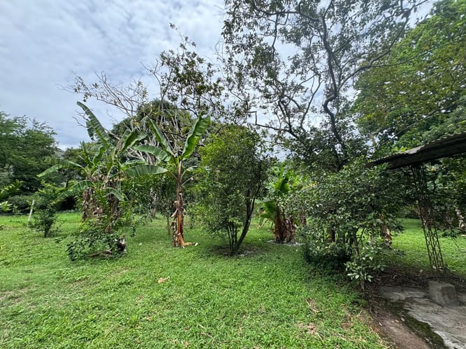 Lote en venta en Guatiguara, Piedecuesta · foto 4 de 11