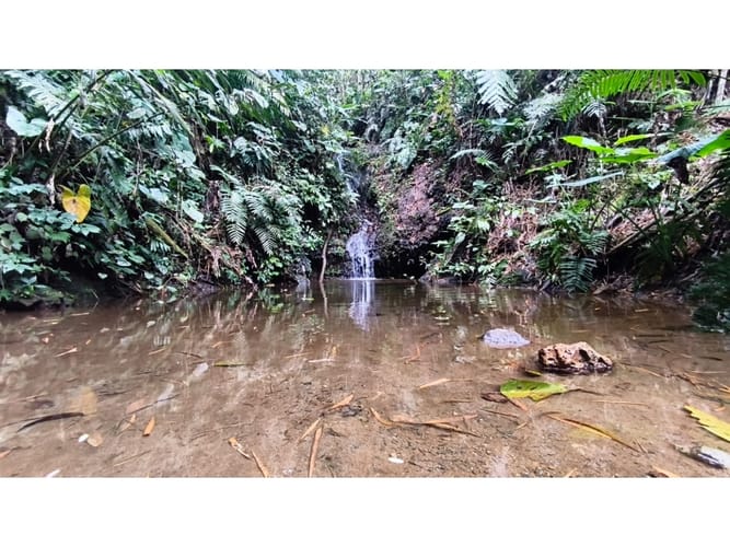 Lote en venta en La Bella, Pereira, 80 m² · foto 18 de 24