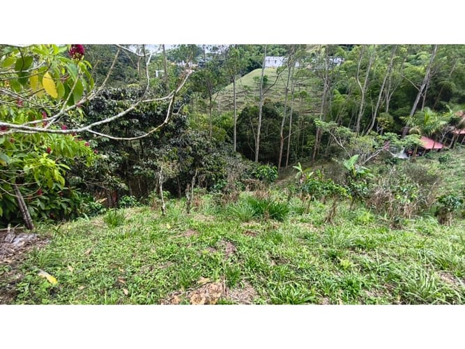 Lote en venta en La Bella, Pereira, 80 m² · foto 24 de 24
