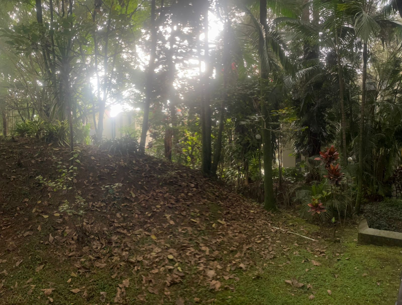 Apartamento en venta en Mesa, Envigado · foto 8 de 19