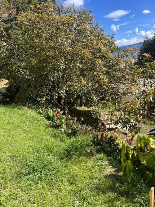 Finca en venta en San Nicolas, La Ceja, 360 m² · foto 13 de 24