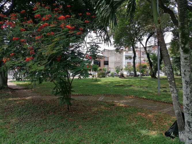 Lote en venta en El Ingenio, Cali · foto 10 de 19