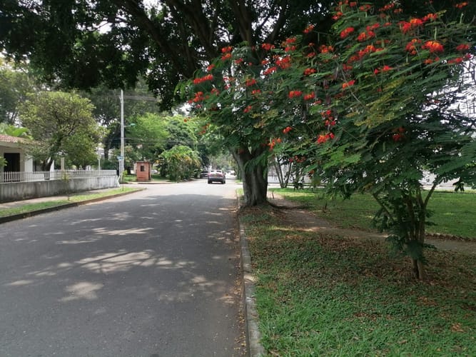 Lote en venta en El Ingenio, Cali · foto 12 de 19
