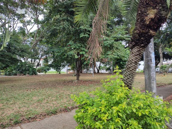 Lote en venta en El Ingenio, Cali · foto 13 de 19