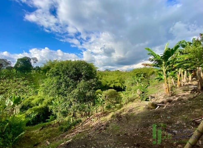 Finca en venta en Puerto Espejo, Armenia, 6626 m² · foto 3 de 7