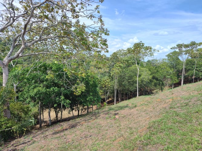 Lote en venta en Pance Bajo, Cali, 15059 m² · foto 5 de 15