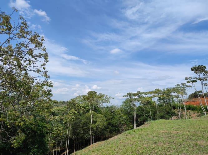 Lote en venta en Pance Bajo, Cali, 15059 m² · foto 7 de 15