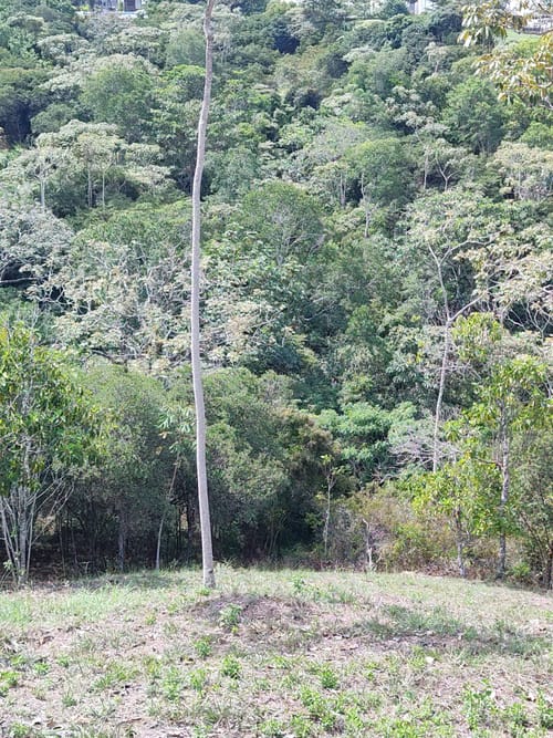 Lote en venta en Pance Bajo, Cali, 15059 m² · foto 11 de 15